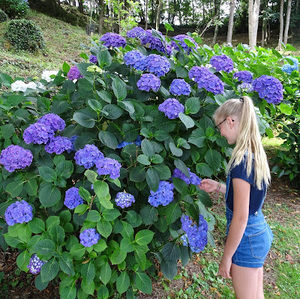 Meet your Posher, Frode flos